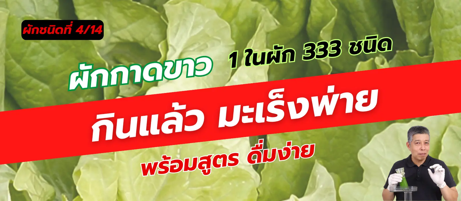 ผักกาดขาว 1 ใน 14 ผักต้านมะเร็ง คัดมาจากผัก 333 ชนิด 